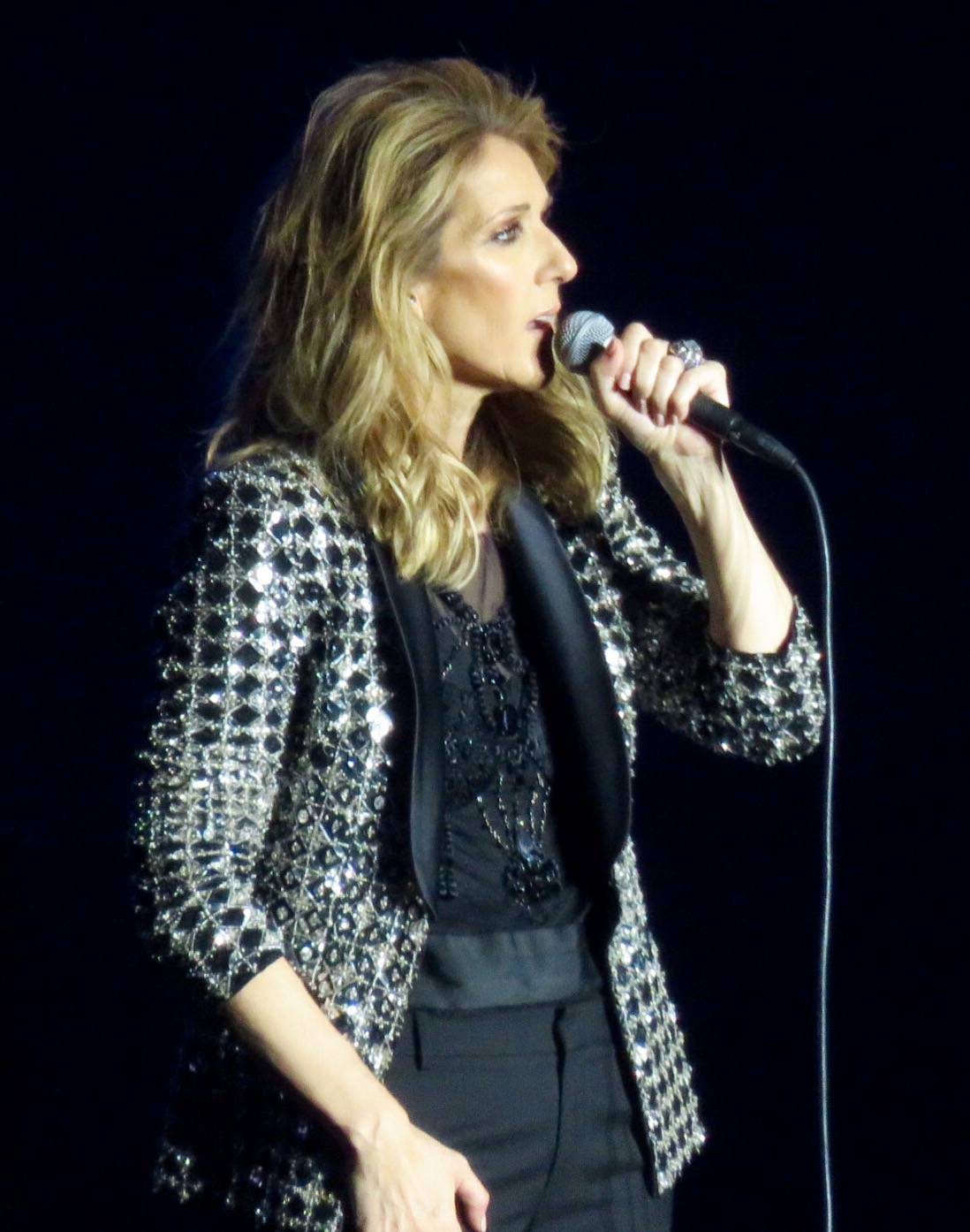 Celine Dion Vermögen