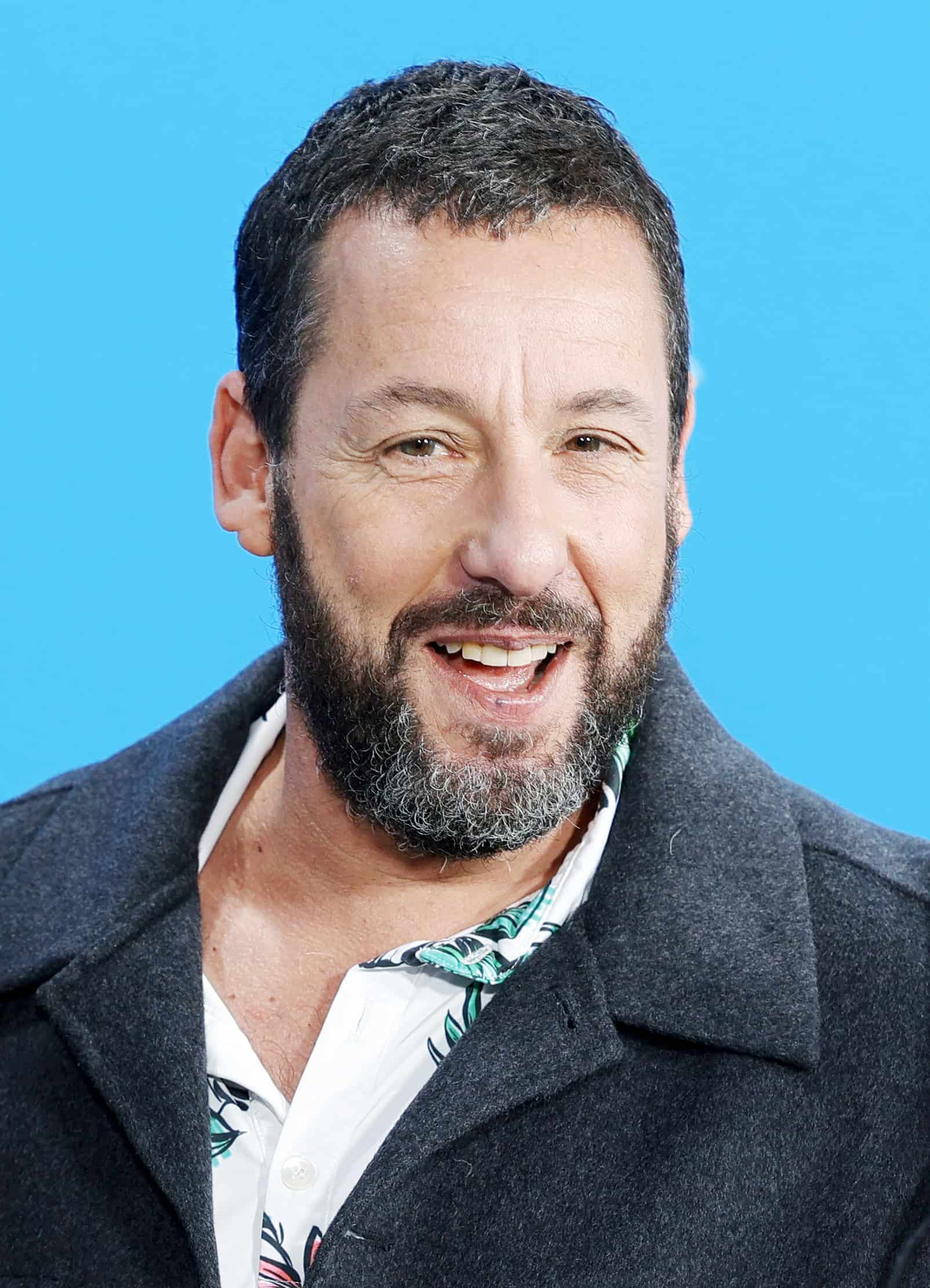 Adam Sandler Vermögen