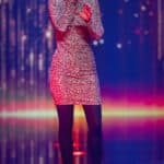 Stefanie Heinzmann Vermögen