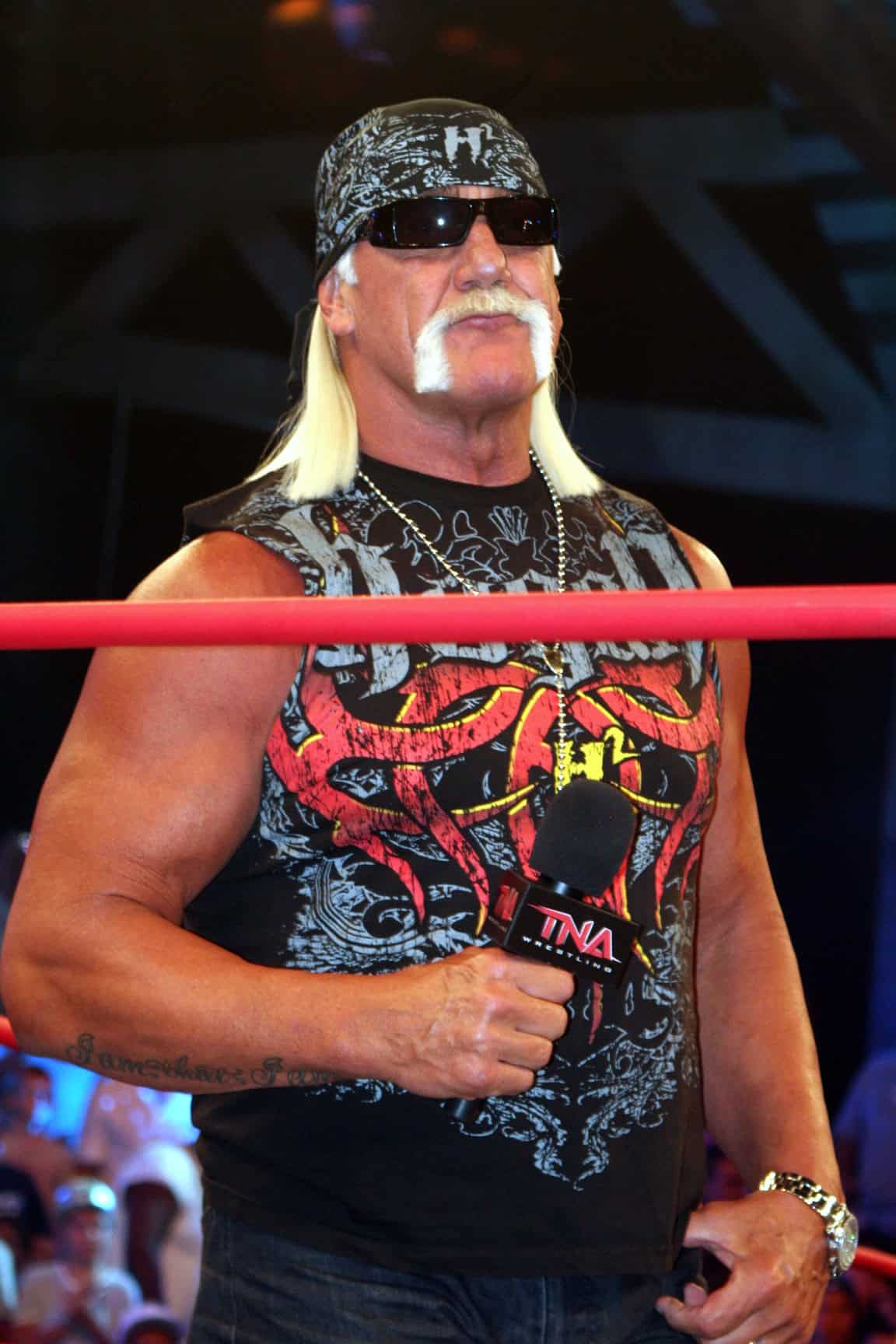 Hulk Hogan Vermögen