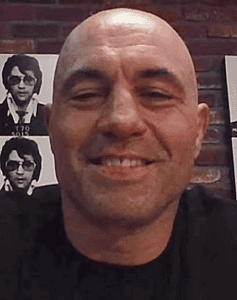 Joe Rogan Vermögen