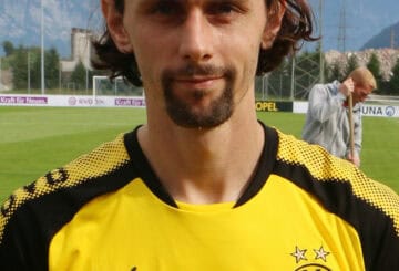 Neven Subotic Vermögen