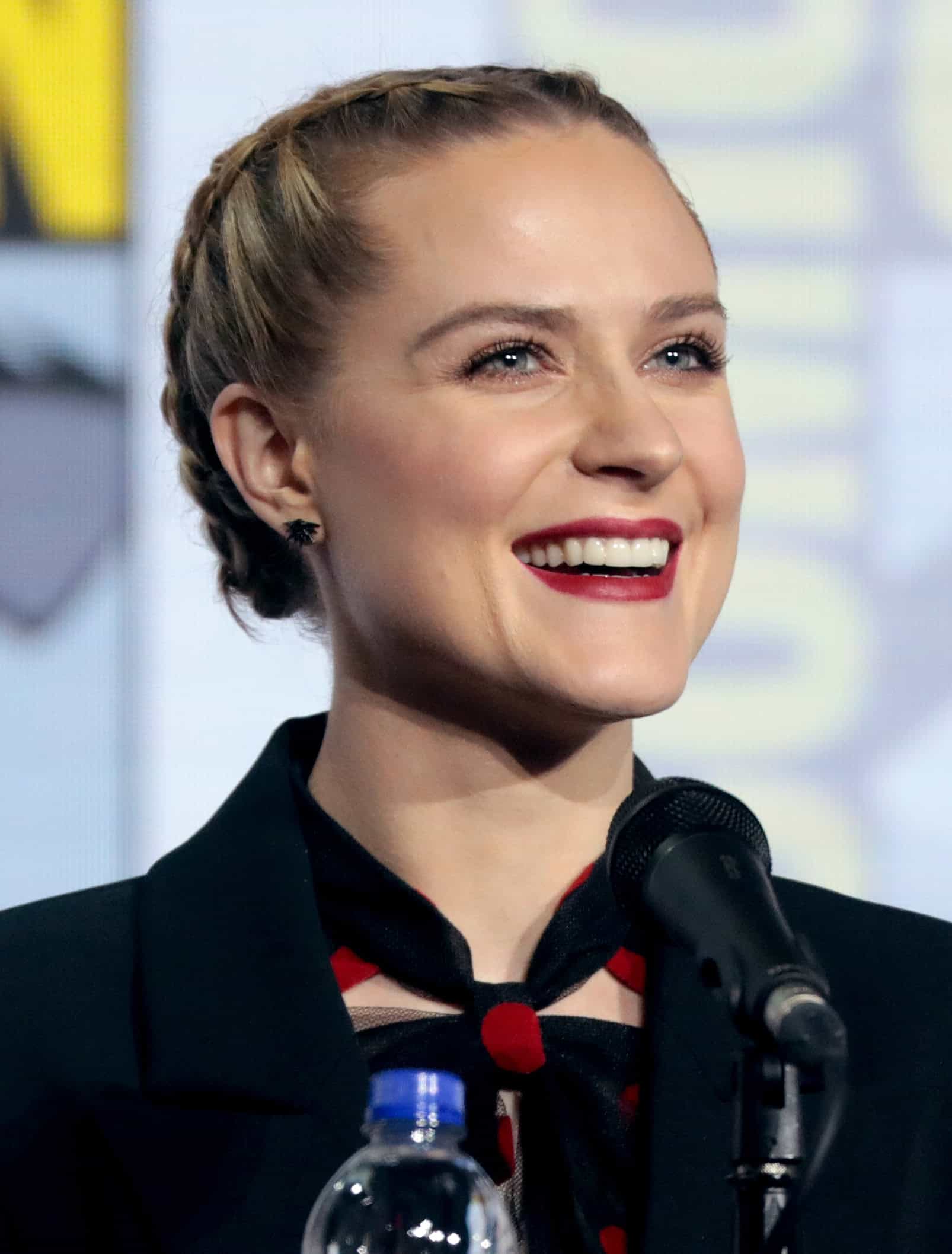Evan Rachel Wood Vermögen