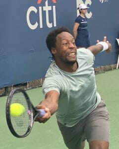 Gaël Monfils Vermögen