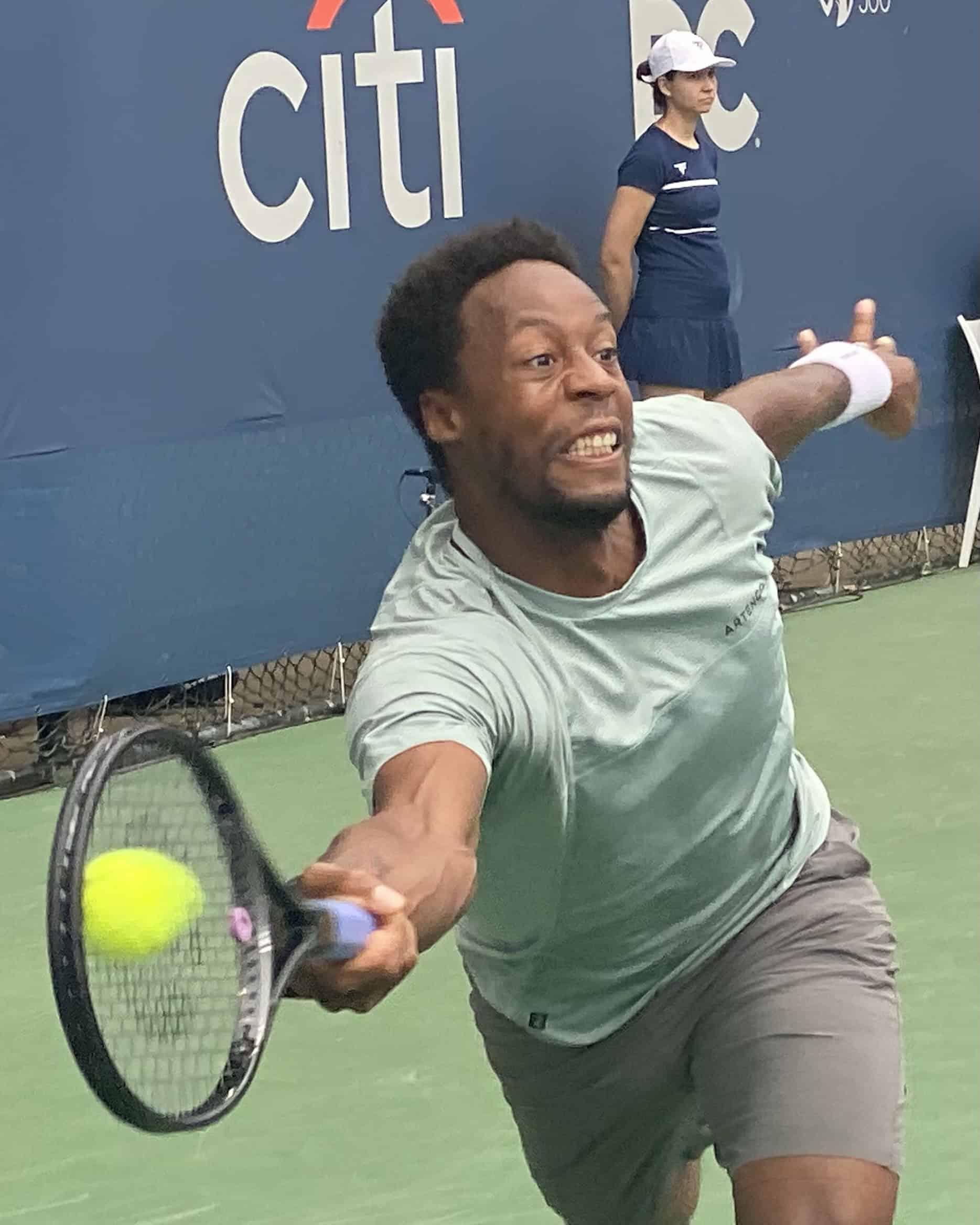 Gaël Monfils Vermögen