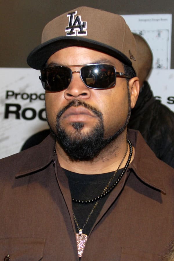 Ice Cube Vermögen