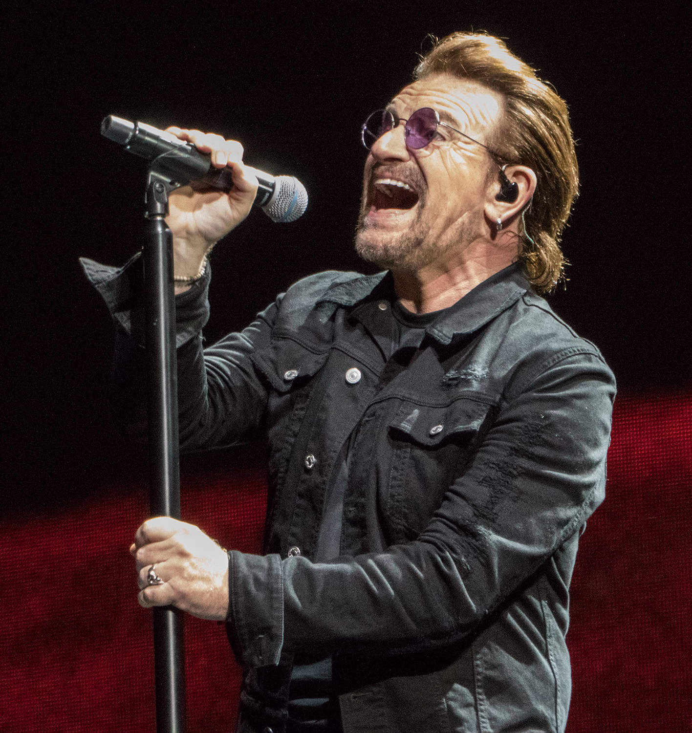 Bono Vermögen