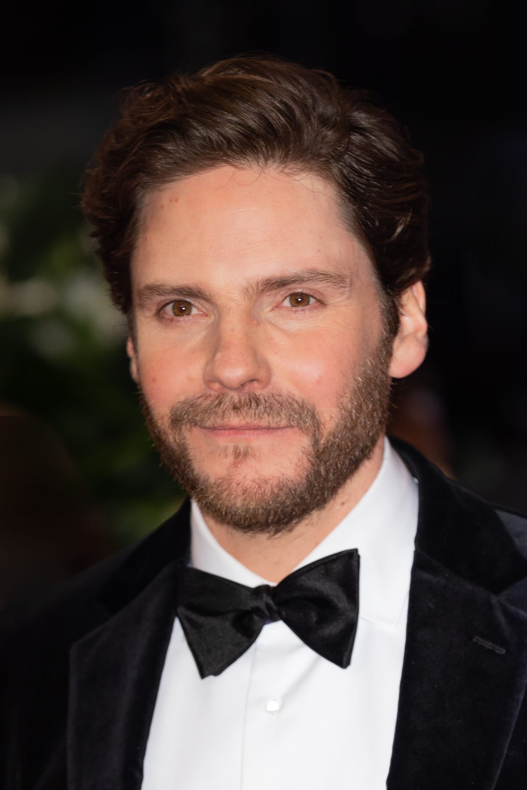 Daniel Brühl Vermögen