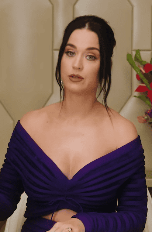 Katy Perry Vermögen