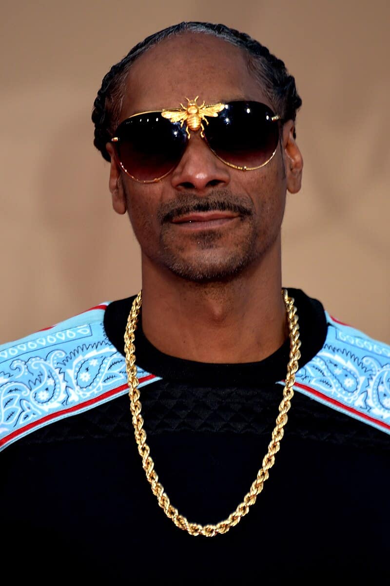 Snoop Dogg Vermögen