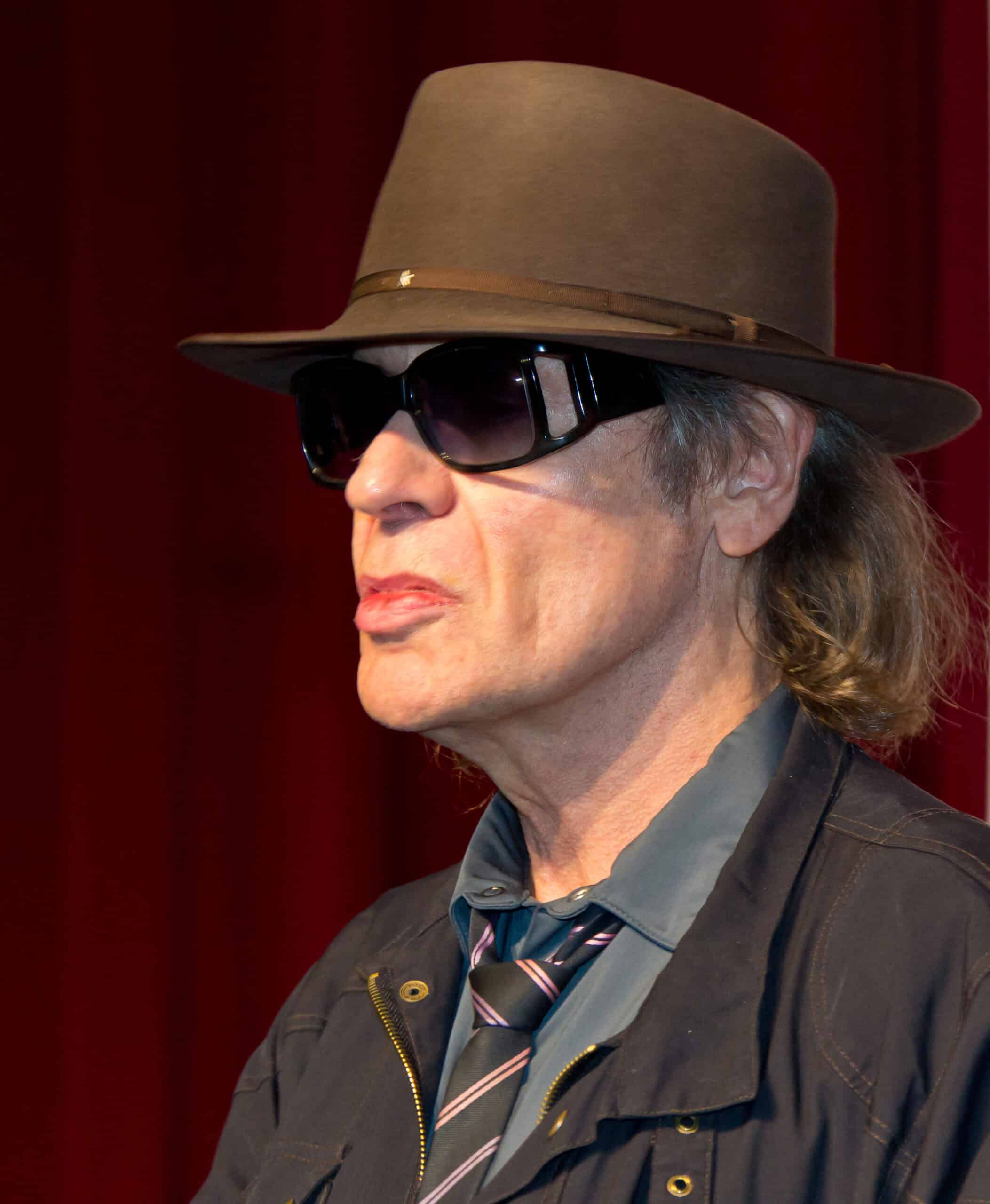 Udo Lindenberg Vermögen